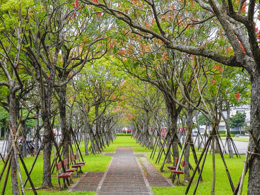 宜蘭運動公園實景二