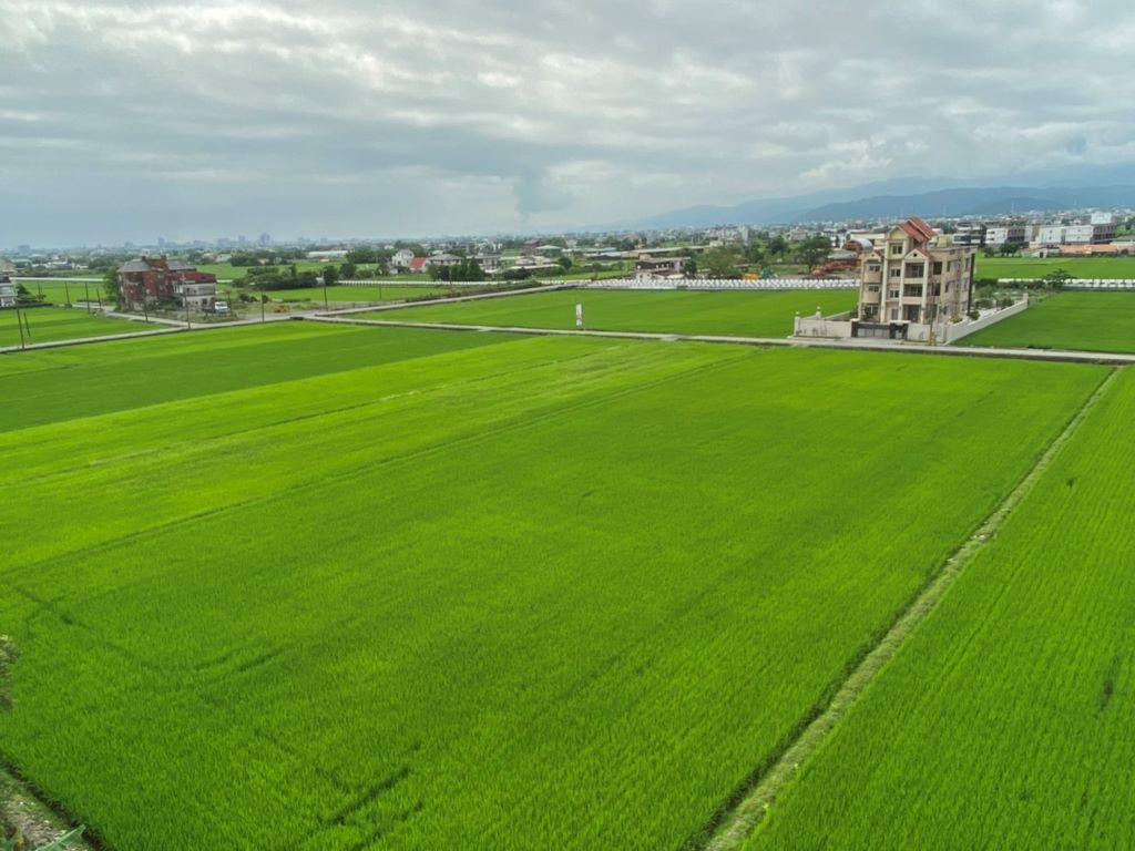 歸園田居實景一