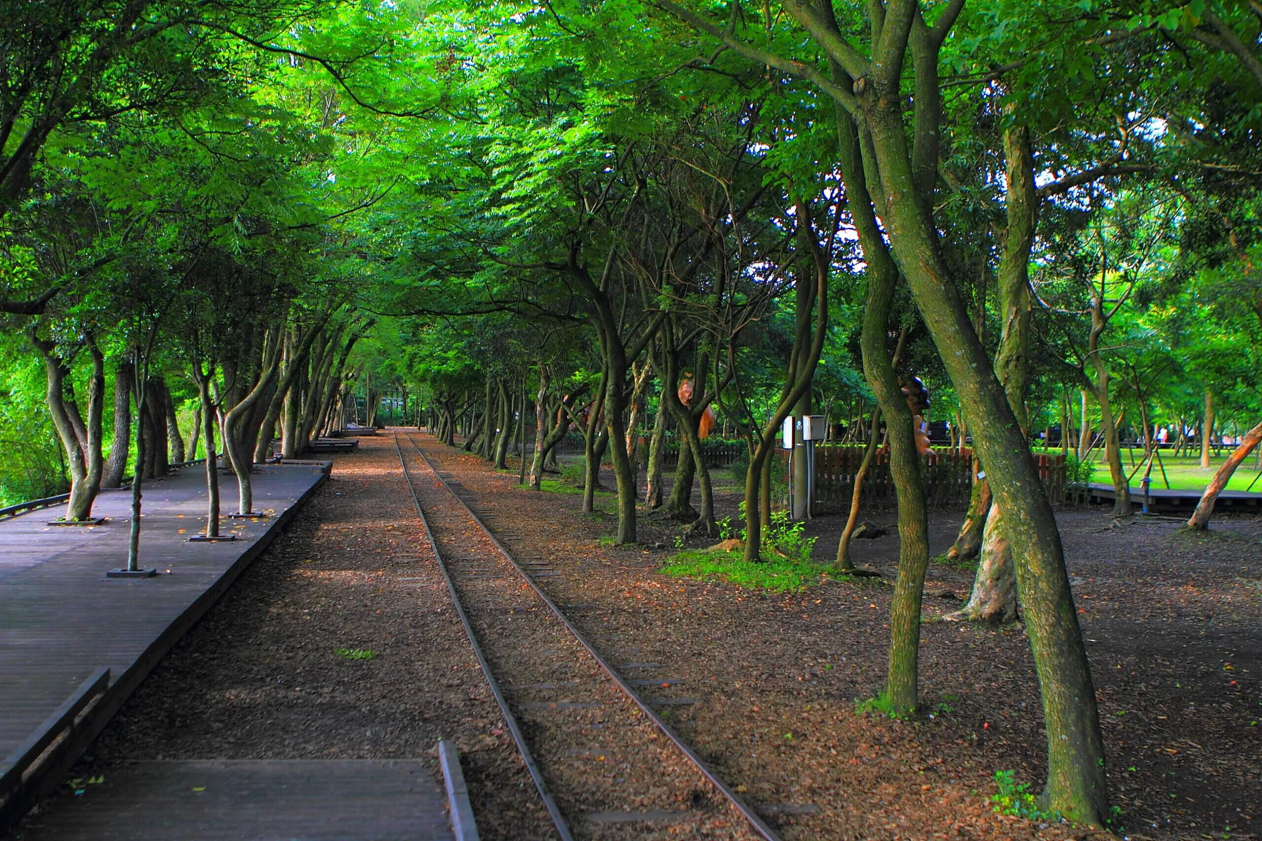 三星湯園